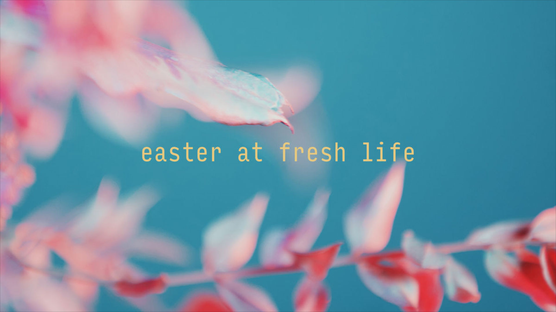 easter-at-fresh-life